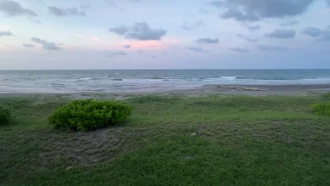 Peaceful seaside view with grass, beach, and horizon under cloudy afternoon sky Stock Footage 314976890