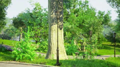 Peaceful shaded trail weaving through mosscovered roots and bark Stock Footage 339624185