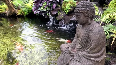 Peaceful side view of stone Buddha statue overlooking koi fish pond Stock Footage 333694615