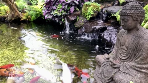 Peaceful side view of stone Buddha statue overlooking koi fish pond Stock-Footage 333694668