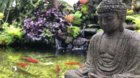Peaceful side view of stone Buddha statue overlooking koi fish pond with small   库存影片 333694716