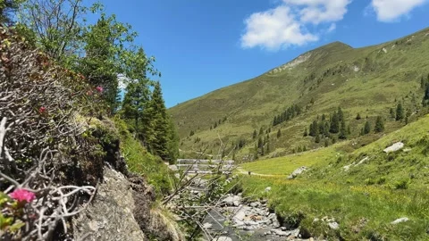Peaceful Slow-Motion View of a Mountain Stream and Green Alps Landscape in .. Stock Footage 329557226