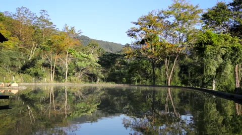 Peaceful Small Lake Video stock 45617984