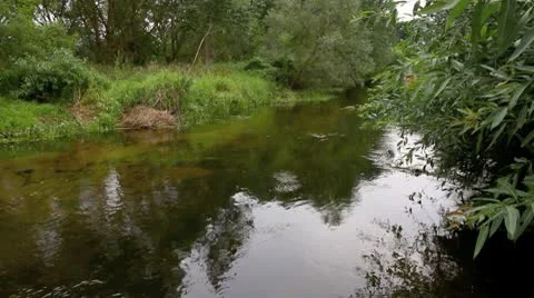 A peaceful small river Stock Footage 10315422