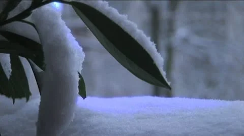 Peaceful snowfalling Stock Footage 15175034