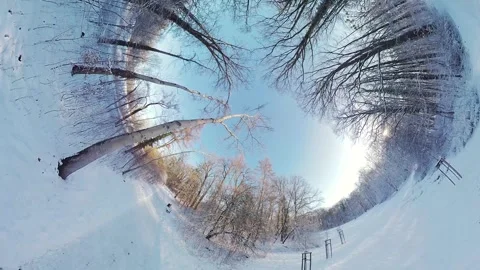 Peaceful Snowy Forest Stock Footage 270376892