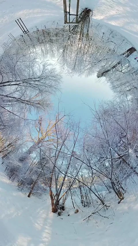 Peaceful Snowy Forest Stock Footage 271319802
