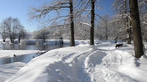 Peaceful snowy riverside path with ducks, winter slow living concept Stock Footage 328749310