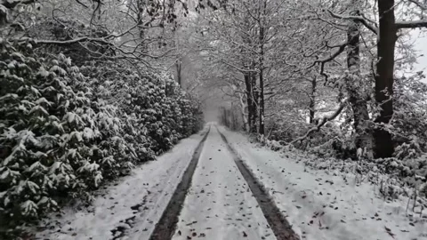 Peaceful Snowy Trail Through a Forest in Winter Stock Footage 337777755