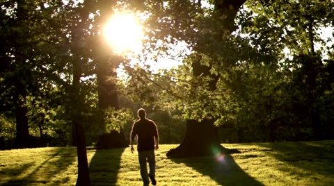 Peaceful Solitude, A Brighter Future Walk Into The Light Stock Footage 52551252