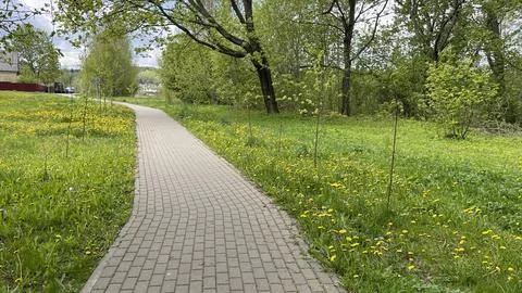 Peaceful Spring Park Path with Fresh Green Trees Foto stock