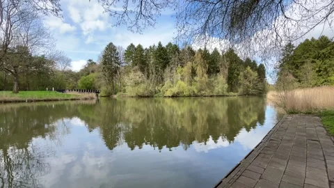 Peaceful Spring Pond Reflection in Amsterdam Forest Netherlands Nature Scene Stock-Footage 334149872