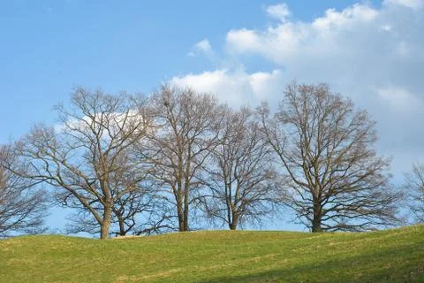 Peaceful spring scene Stock Photos