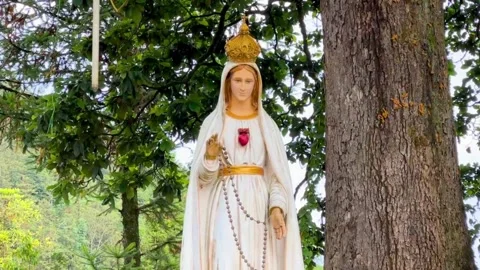 Peaceful Statue of the Virgin Mary at Sa Pa Stone Church cemetery Stock Footage 324916450