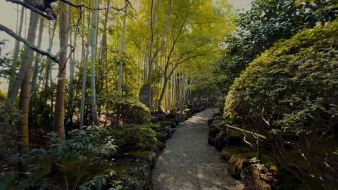 Peaceful stone pathway through bamboo forest and garden in japan Stock Footage 341852698