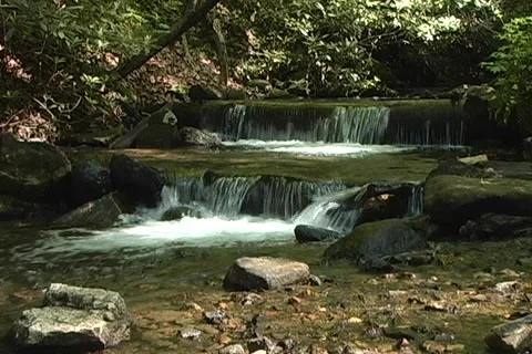 Peaceful Stream 05 Stock Footage 1106545
