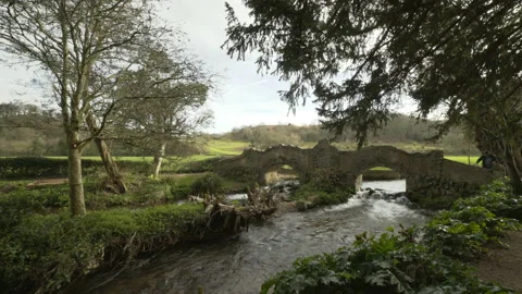 Peaceful stream and bridge in Devon countryside under tree Video stock 136899012