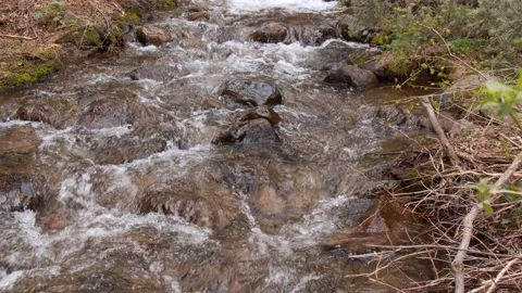 Peaceful Stream In Colorado Stock Footage 132345523