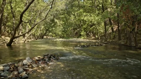 Peaceful Stream Flowing Through Forest in Fethiye, Turkey Stock Footage 326214260