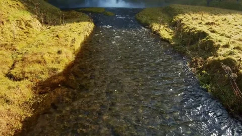 Peaceful Stream Flowing Through a Green Icelandic Meadow on a Sunny Day Stock Footage 320509088