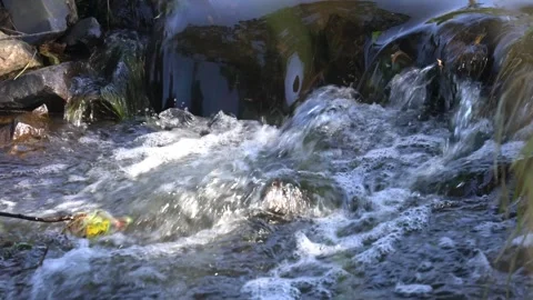 Peaceful Stream Flowing Through a Serene Natural Landscape Stock Footage 346550075