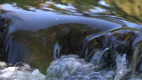 Peaceful Stream Flowing Through a Serene Natural Landscape Stock Footage 346550136