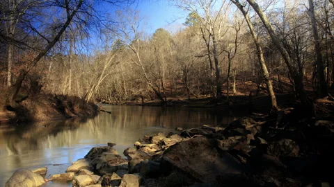 A peaceful stream flows through a forest. Stock Footage 306251128
