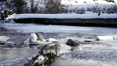 Peaceful stream flows through icy boulders and logs Stock Footage 83209352