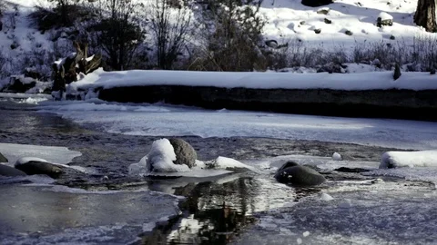 Peaceful stream flows through icy boulders and logs Stock Footage 83209826