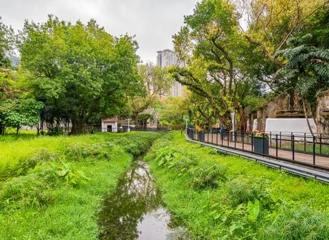 A peaceful stream flows through a lush green park alongside a modern walkway. Фото