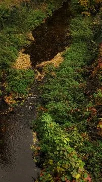 A peaceful stream flows through vibrant autumn foliage Stock Photos