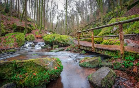 Peaceful stream flows under a rustic bridge in a mossy forest Stock Photos