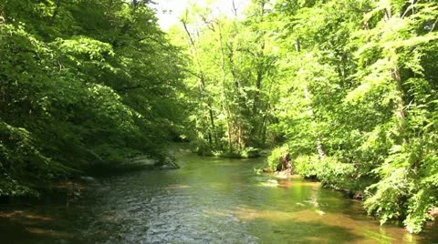 Peaceful Stream Video stock 20435590