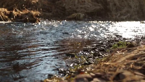 Peaceful Stream Stock Footage 94337969