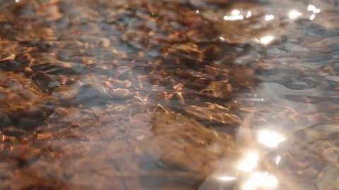 Peaceful  stream Stock Footage 94337979