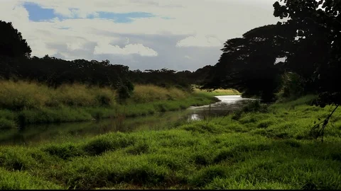 Peaceful Stream Stock Footage 104271251