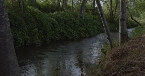 Peaceful stream Stock Footage 158317307