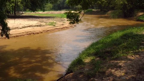 Peaceful Stream Lukala River in Congo Africa Stock Footage 285889299