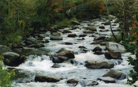 Peaceful Stream Stock Photos