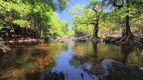 Peaceful stream with rocks. Stock Photos