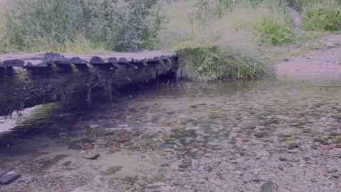 A Peaceful Stream with a Rustic Bridge Situated in the Midst of Lush Nature and Stock Footage 304731302