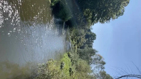 Peaceful stream with sun shining Stock Footage 251027855