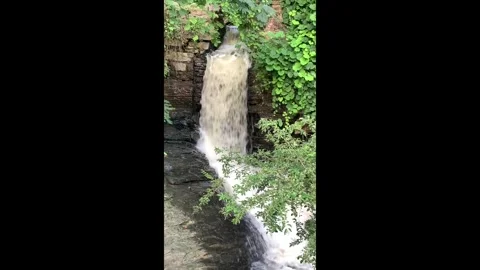 Peaceful Stream of Water Stock Footage 277108293