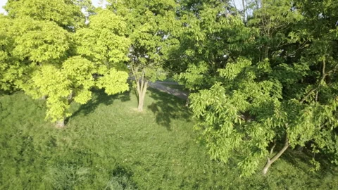 A Peaceful Stroll Through the Park Stock Footage 276839061