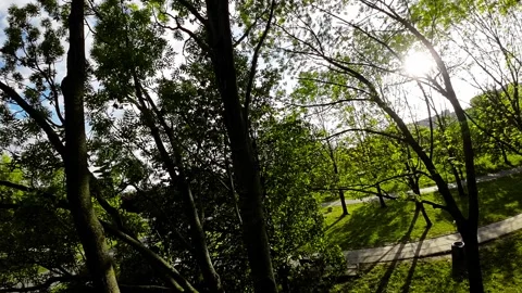 A Peaceful Stroll Through the Park Stock Footage 280755687