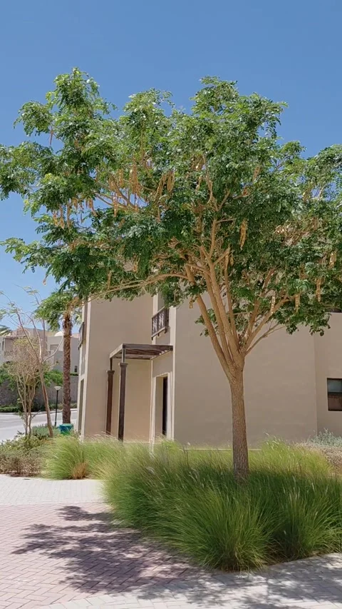 A peaceful sunny day at a residential complex Stock Footage 336233092