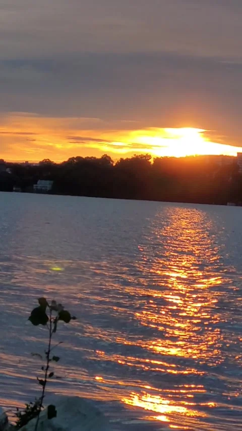 Peaceful sunrise Video stock 261499258