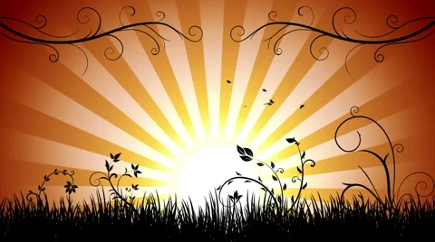 Peaceful sunset Stock-Footage 884148