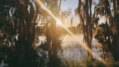 Peaceful Sunset on Lake with Rays of Light Through Trees Stock Footage 295530436