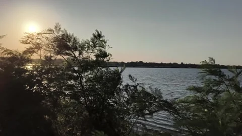 Peaceful Sunset over Lake with Trees Swaying in Gentle Wind Stock Footage 340489315